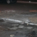 mardi_14_mars_040.3