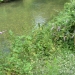 mercredi_27_07_05_013.3