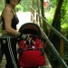 mercredi_27_07_05_043.3
