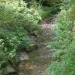mercredi_27_07_05_045.3