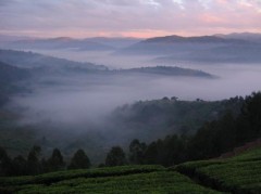 rwanda-view.jpg